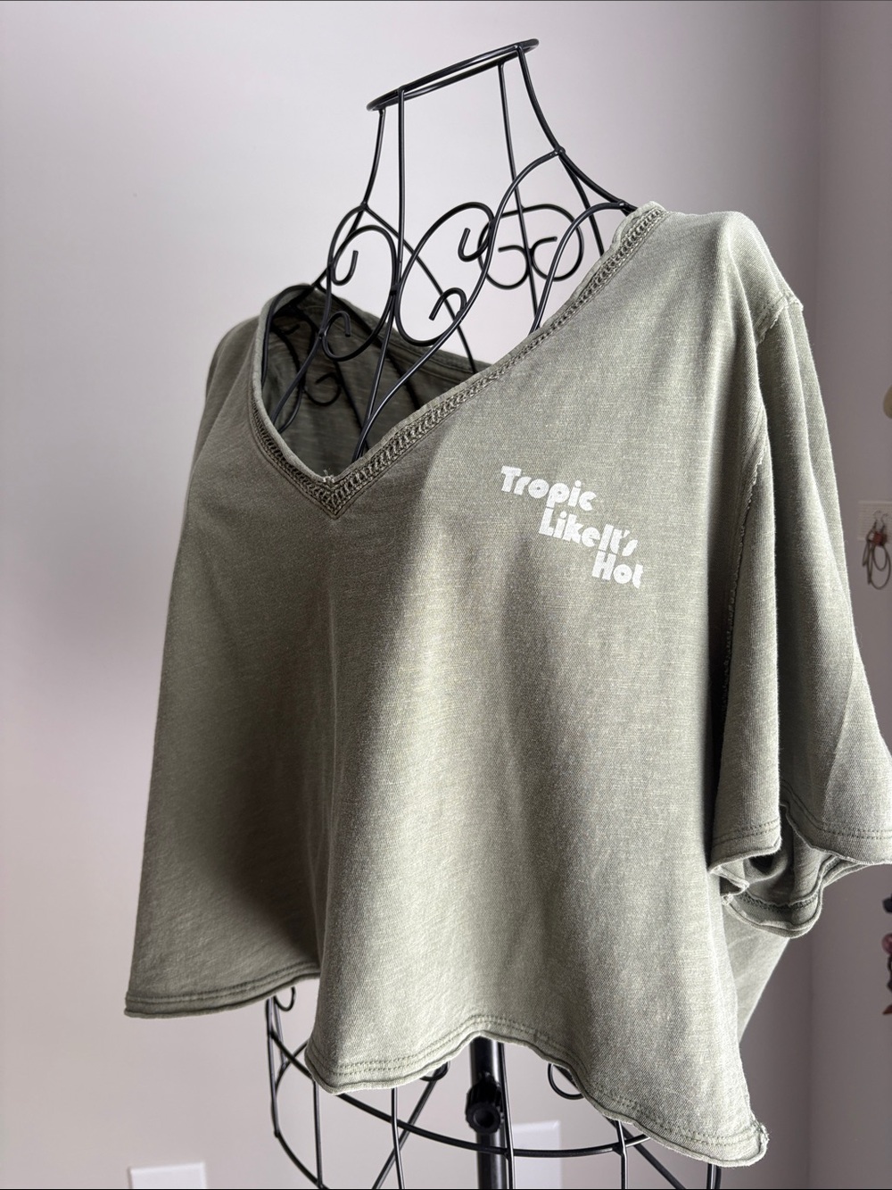 aerie Olive Green Cropped V-Neck Top